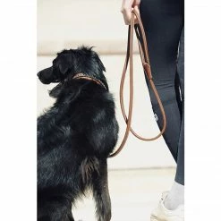 French Equestrian Penelope Leather Dog Leash
