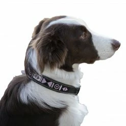 French Equestrian Penelope Pearl Dog Collar