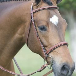 English Riding Supply Pessoa Fancy Wide Noseband Show Bridle W/ Fancy Stitched Laced Reins