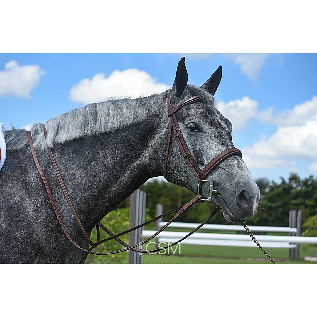 Renaissance By Prestige Hunter Bridle Gifts For Your Horse
