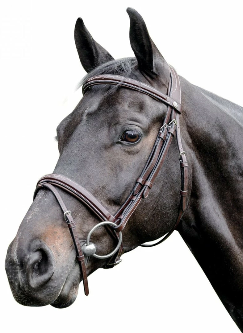 Prestige 3E083 Raised Bridle With Stitching English Bridles