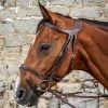 Sagmae Dyon Difference Flash Bridle - D Collection