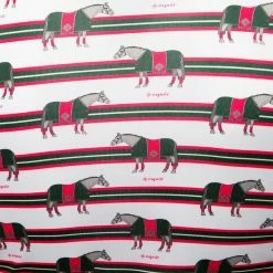 Somerset Equestrian Trading Espoir Ladies Lumiere Quarter Zip Sun Shirts