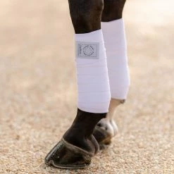 Horse Boots & Wraps EquiFit T-Sport Wrap