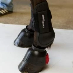 ThinLine Open Front Tendon Schooling Horse Boot