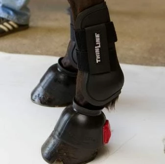 ThinLine Open Front Tendon Schooling Horse Boot