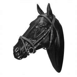 Saddlery Brands International Wintec English Bridle With Flash Noseband English Bridles