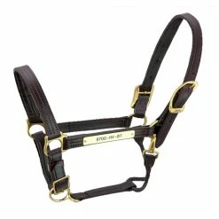 Halters & Leads Walsh Kentucky Halter