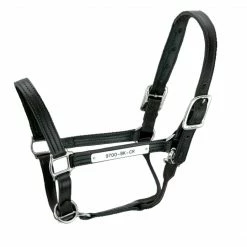 Halters & Leads Walsh Kentucky Halter