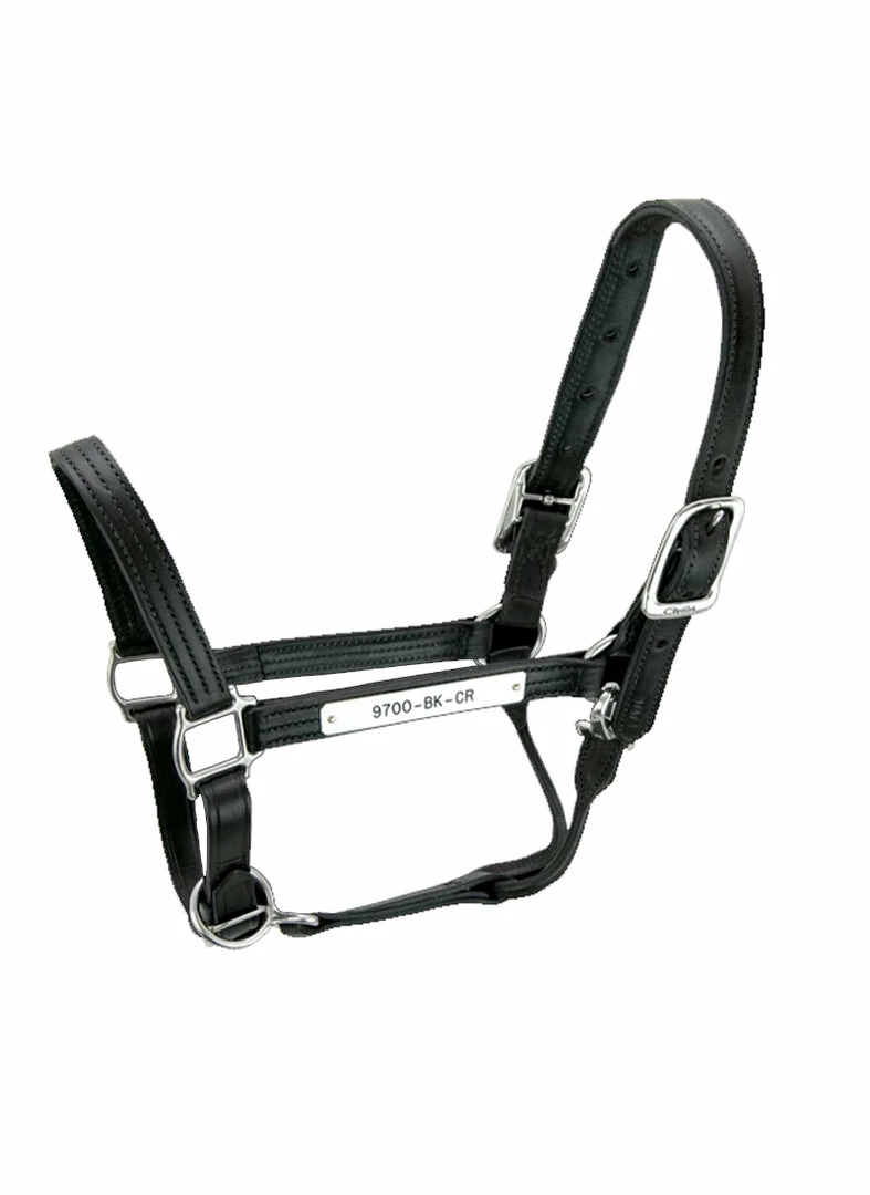 Halters & Leads Walsh Kentucky Halter