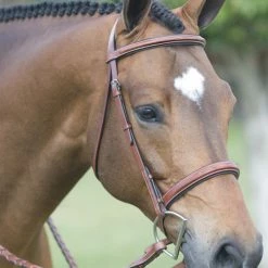 English Riding Supply Pessoa Fancy Wide Noseband Show Bridle W/ Fancy Stitched Laced Reins