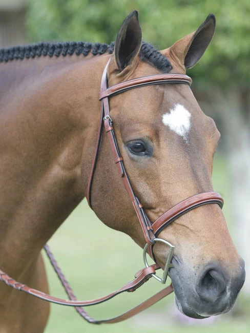 English Riding Supply Pessoa Fancy Wide Noseband Show Bridle W/ Fancy Stitched Laced Reins