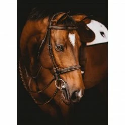 Samshield Arion Hunter Bridle With Fancy Stitching English Bridles