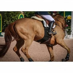 Equifit BellyBand Saddle Pads & Fittings
