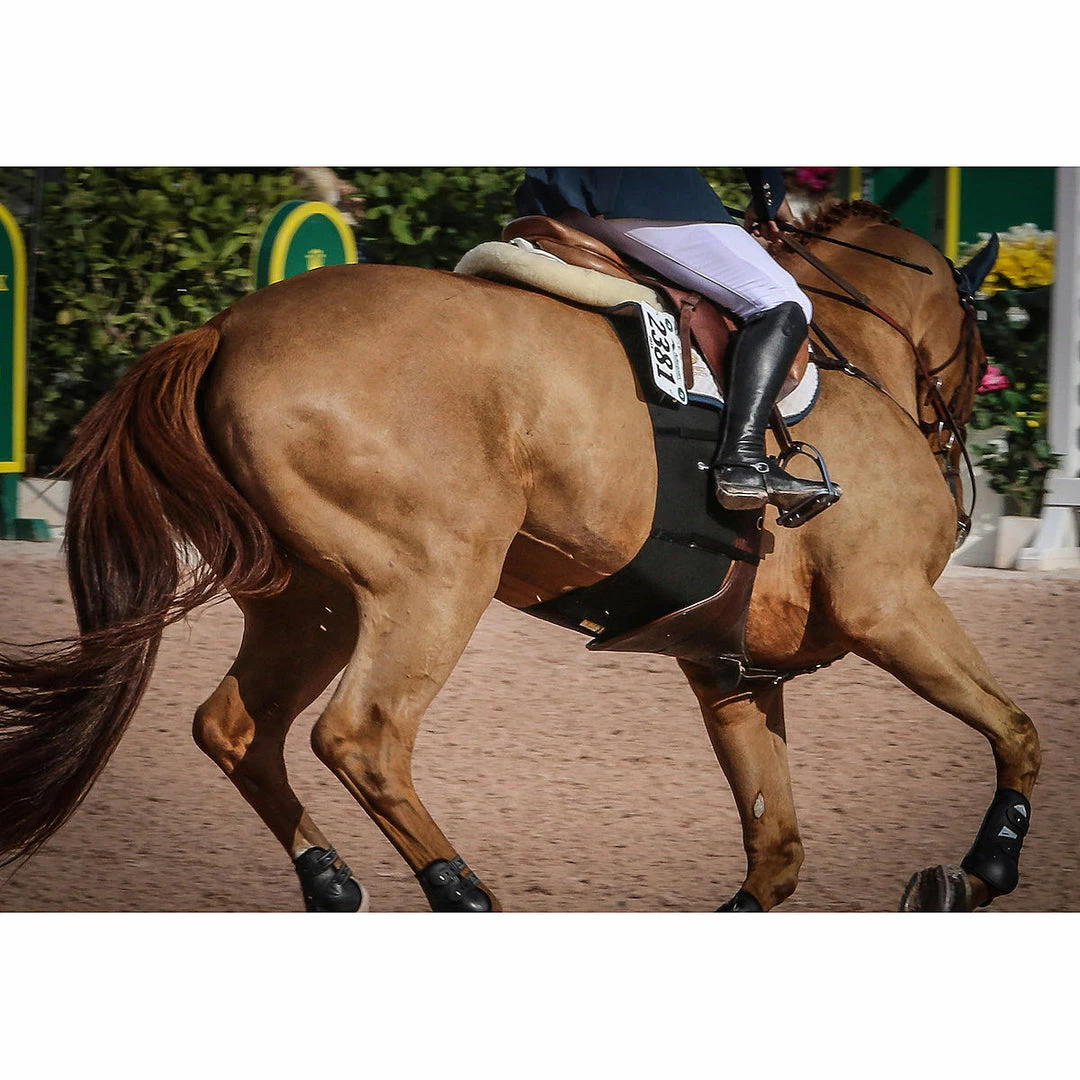 Equifit BellyBand Saddle Pads & Fittings