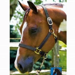 Perri's Leather Perri's 1