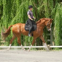 Kerrits Women's Crossover II Full Seat Breech