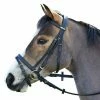 Saddlery Brands International Wintec English Bridle With Flash Noseband English Bridles