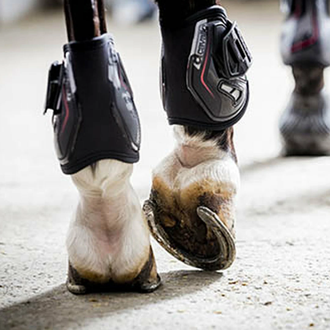 Frantisi Horse Boots & Wraps Acavallo Opera Front Boot -Gel Lined With Elasticated Stud Fastening
