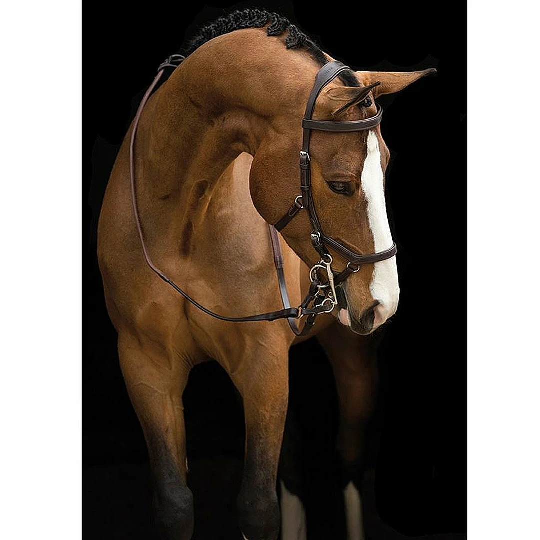 Horseware English Bridles Rambo Micklem Deluxe Competition Bridle