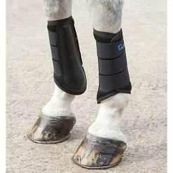 Shires Equestrian Products Arma Air Motion Brushing Boots Horse Boots & Wraps