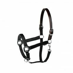 Union Hill Millstone Neoprene Breakaway Halter Halters & Leads