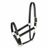 Perri's Leather Turnout Halter Halters & Leads