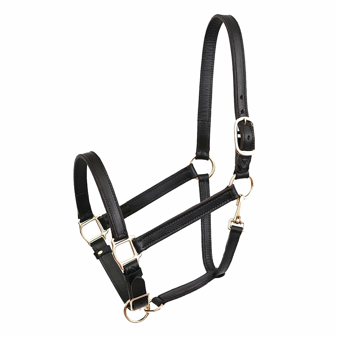 Perri's Leather Turnout Halter Halters & Leads