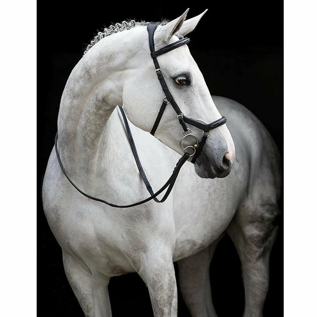 Horseware English Bridles Rambo Micklem Deluxe Competition Bridle