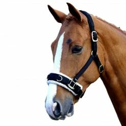 Shires Equestrian Products Fleece Lined Lunge Cavesson