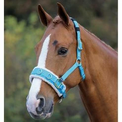 Shires Equestrian Products Fleece Lined Lunge Cavesson