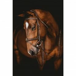 Samshield Arion Anatomic French Noseband Bridle