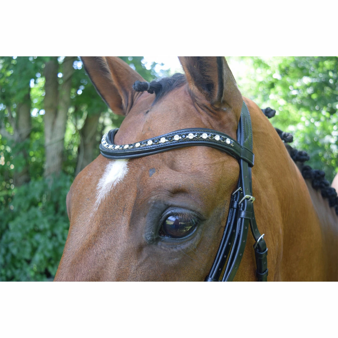 English Bridles Red Barn By KL Select Stride Dressage Bridle
