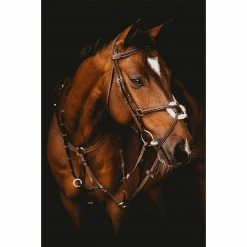 Samshield English Bridles Arion Anatomic Figure 8 Noseband Bridle