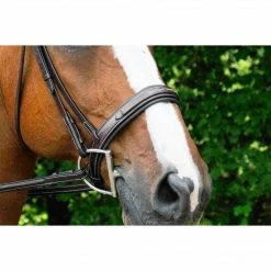 Red Barn By KL Select Tryon Hunter Bridle English Bridles