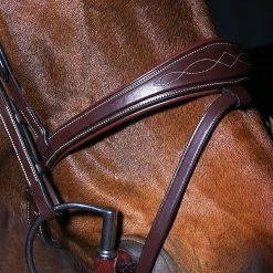 Sagmae Dyon Anatomic Flash Noseband Bridle - D Collection