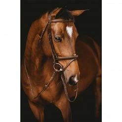 Samshield Arion Anatomic French Noseband Bridle