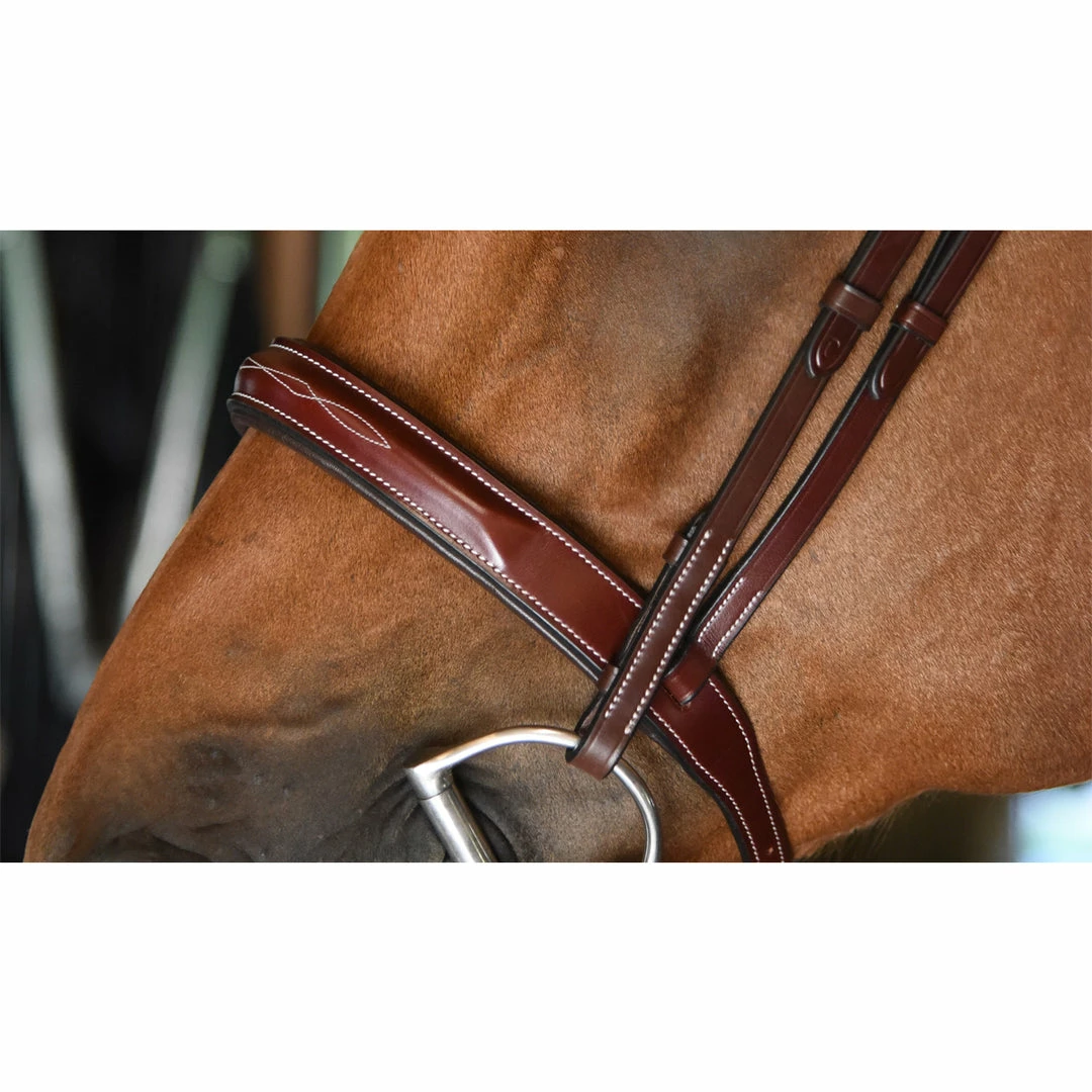 English Bridles KL Select Italia Tuscany Hunter Bridle