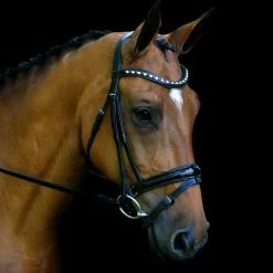 English Bridles Red Barn By KL Select Stride Dressage Bridle