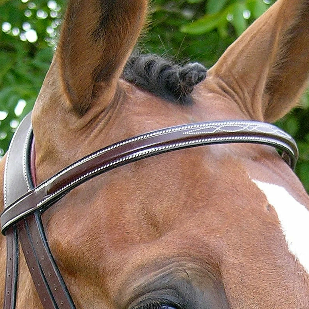 Sagmae Dy'on Fancy Stitch Wide Noseband Bridle English Bridles