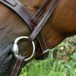 Sagmae Dy'on Fancy Stitch Wide Noseband Bridle English Bridles