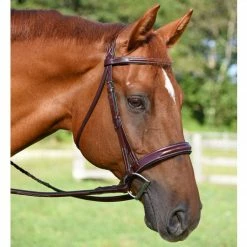 English Bridles KL Select Italia Tuscany Hunter Bridle