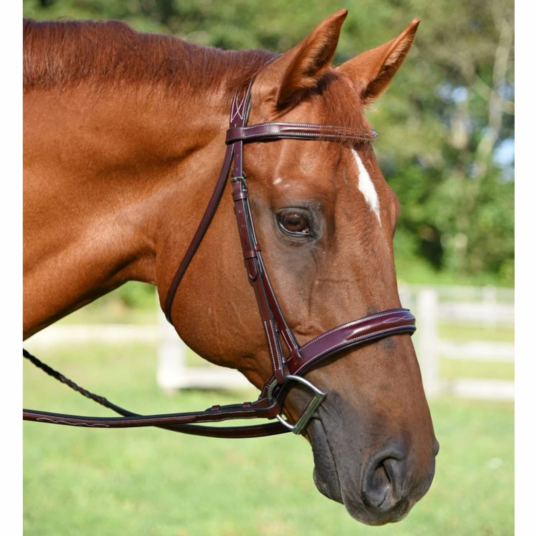 English Bridles KL Select Italia Tuscany Hunter Bridle