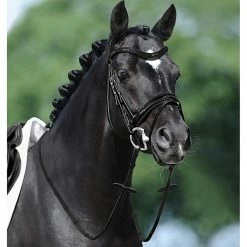 Passier Apollo Snaffle Bridle English Bridles