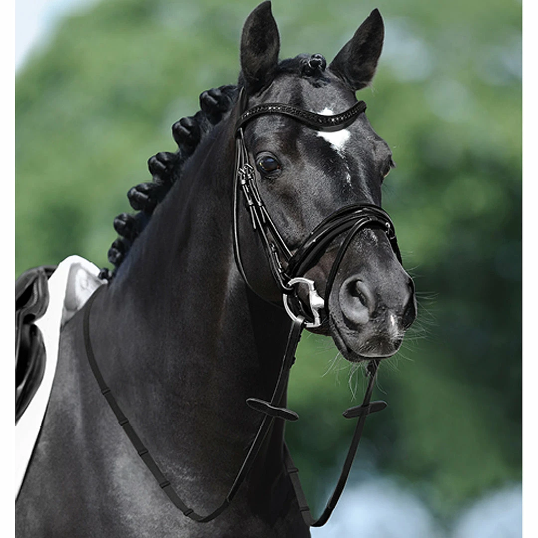 Passier Apollo Snaffle Bridle English Bridles