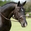 Sagmae Dy'on Fancy Stitch Wide Noseband Bridle English Bridles