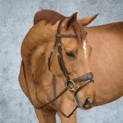 Sagmae Dyon Anatomic Flash Noseband Bridle - D Collection