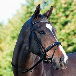 English Bridles Passier Fortuna Snaffle Bridle