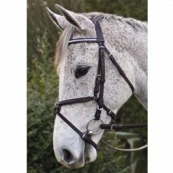 Nunn Finer Padded Figure 8 Noseband With Interchangeable Button Pieces English Bridles