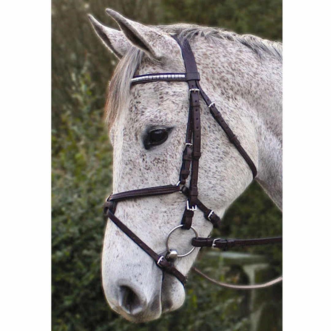 Nunn Finer Padded Figure 8 Noseband With Interchangeable Button Pieces English Bridles